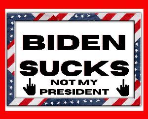 Wholesale Biden Sucks Not My President Bumper Stickers