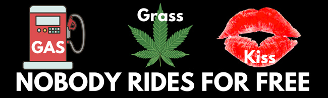 Wholesale No Body Rides for Free Bumper Stickers
