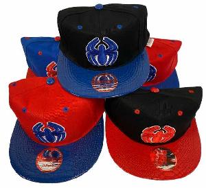 Snapback Baseball Cap/Hat Spider